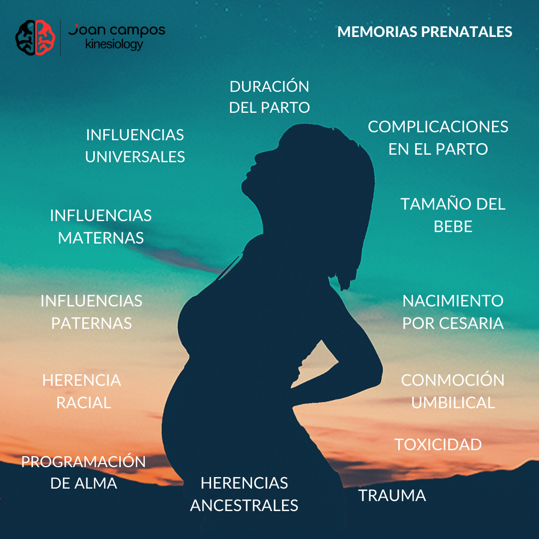 Kinesiología y memorias prenatales